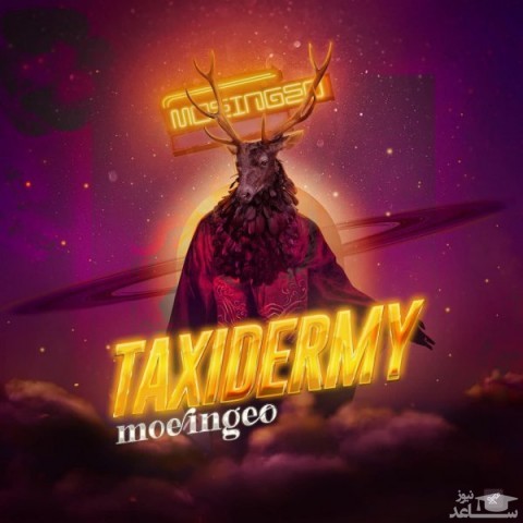 دانلود آهنگ تاکسیدرمی از معین ژئو