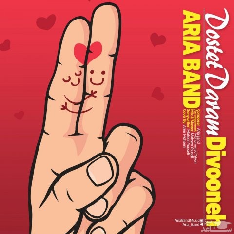 دانلود آهنگ دوست دارم دیوونه از آریا باند