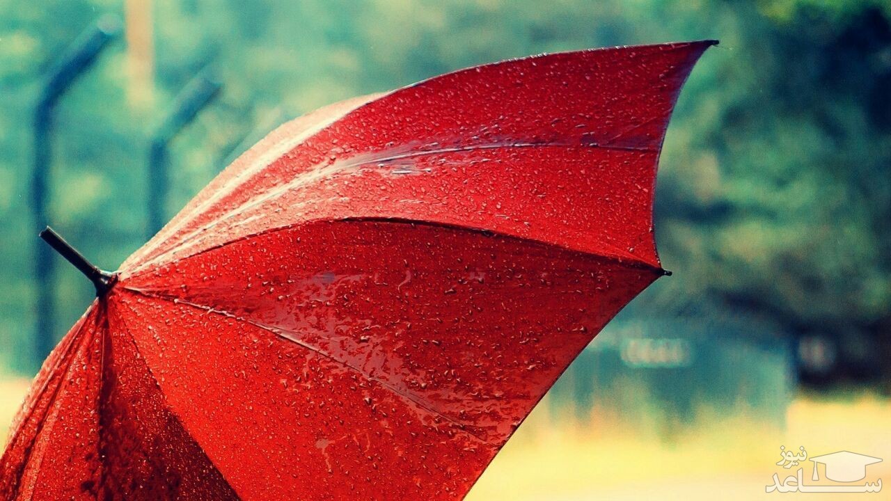 زیباترین متن ادبی درمورد چتر