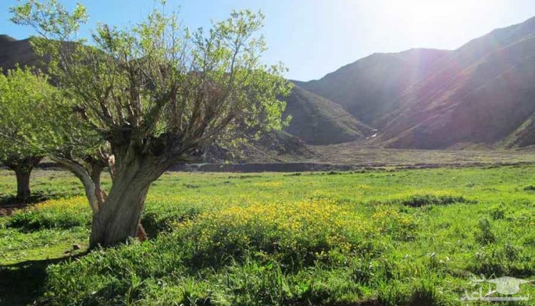 معرفی شهر زیبای خوشاب