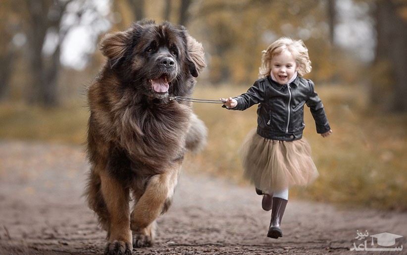 رابطه سگ و کودک