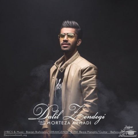 دانلود آهنگ دلیل زندگی از مرتضی احمدی