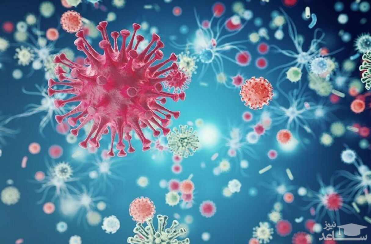 تازه‌ترین آمار از مبتلایان و فوتی‌های کرونا در ایران در 15 اردیبهشت