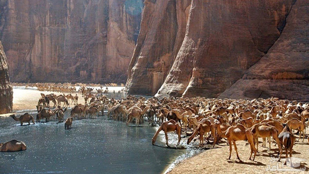 صحرا Guelta d’Archei