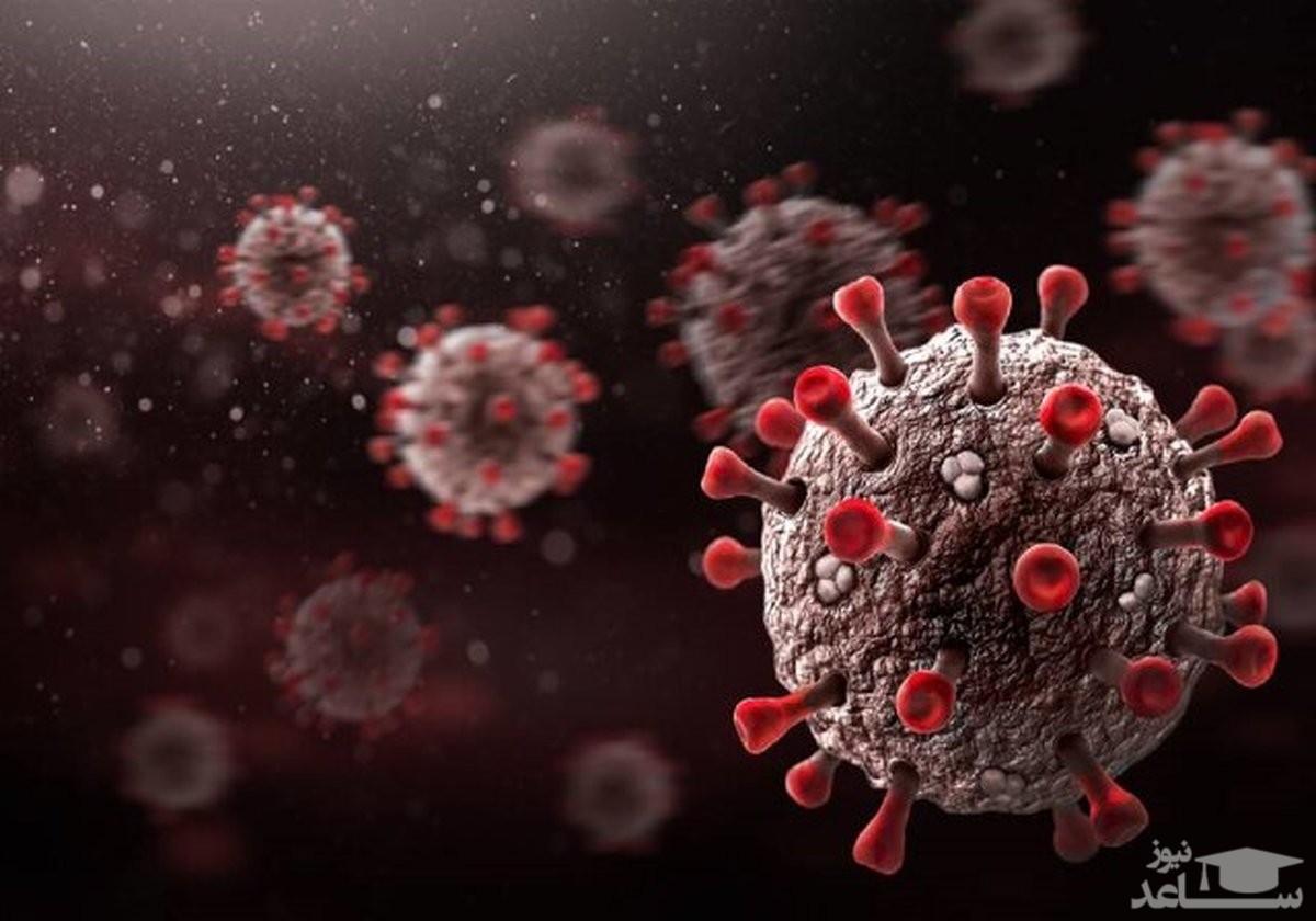 آخرین آمار کرونا در ایران (۱۴۰۰/۹/۲۴)