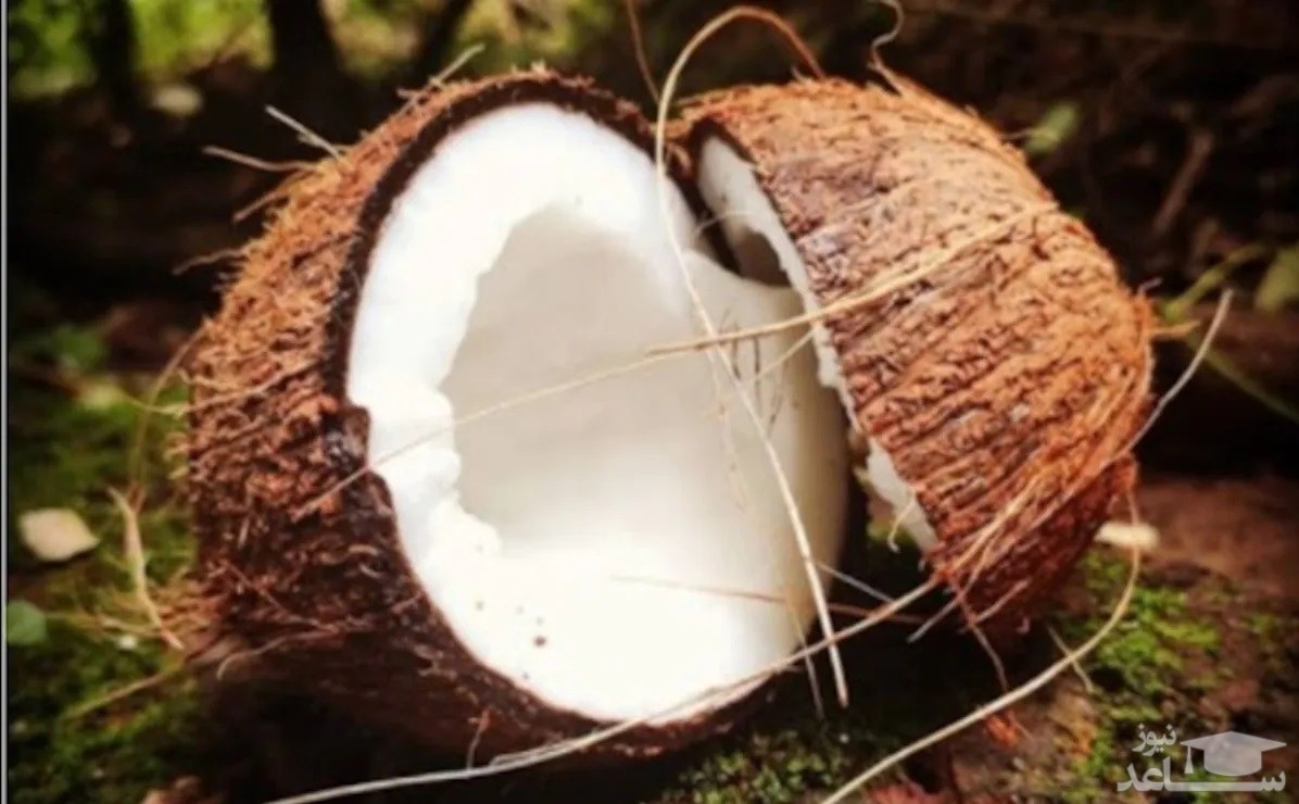 (فیلم) سقوط نارگیل روی سر زن موتورسوار