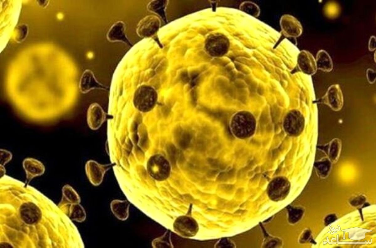 آمار کرونا در ایران و جهان (۱۴۰۰/۰۴/۰۸)