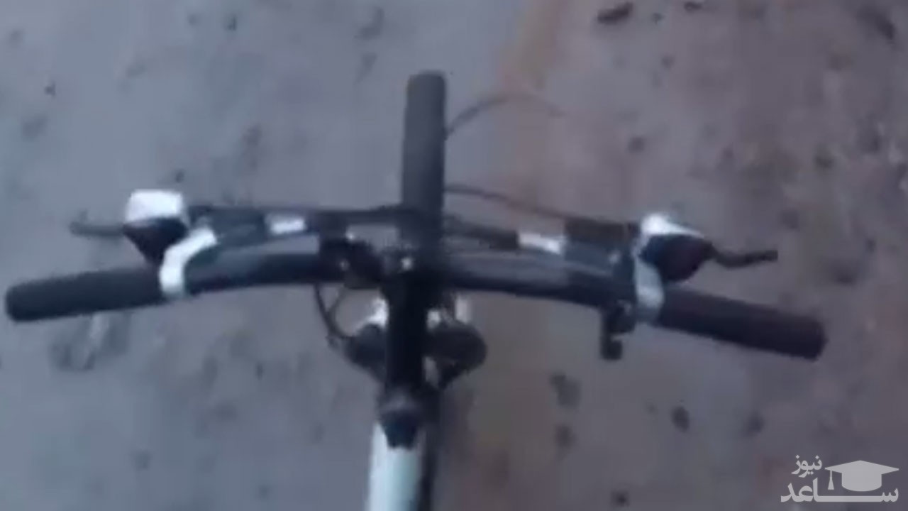 (فیلم) لحظات نفس‌گیر تعقیب شدن یک دوچرخه سوار توسط خرس قهوه‌ای