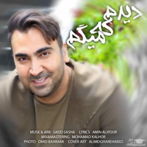 دانلود آهنگ دیدم که میگم از سروش هامون