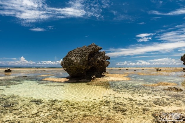 سواحل صخره ای
