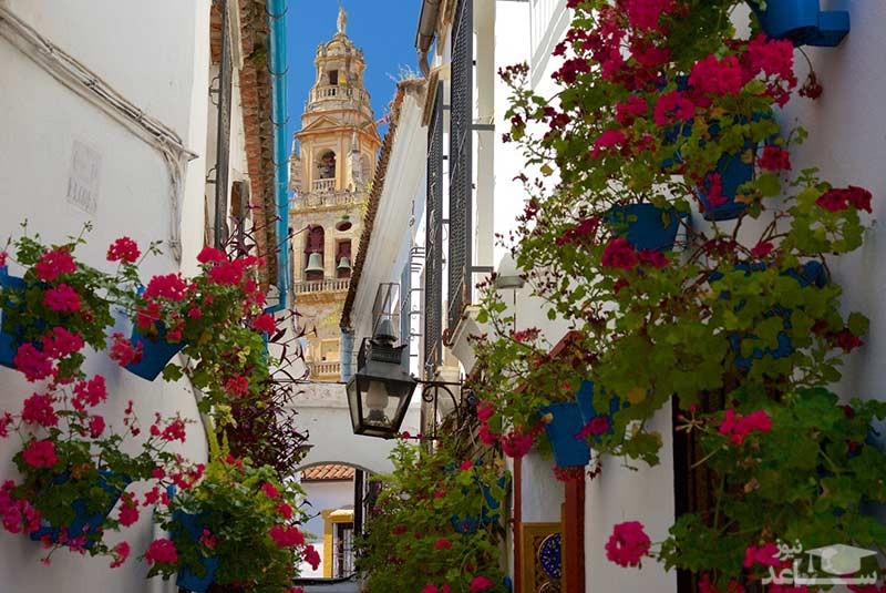 محله کایخا دلاس فلورس