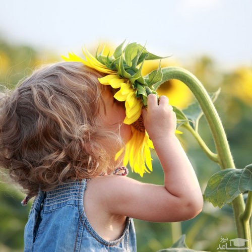کودک در حال بو کردن گل