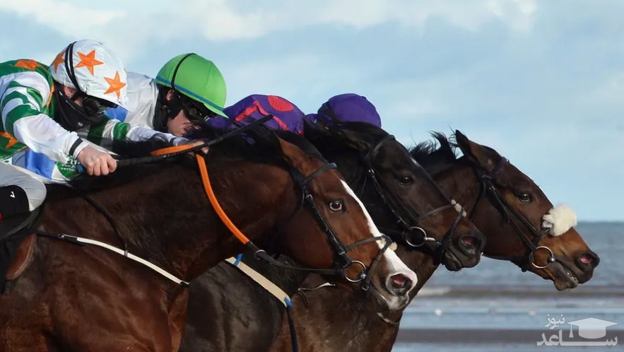 مسابقات اسب سواری در ایرلند/ رویترز