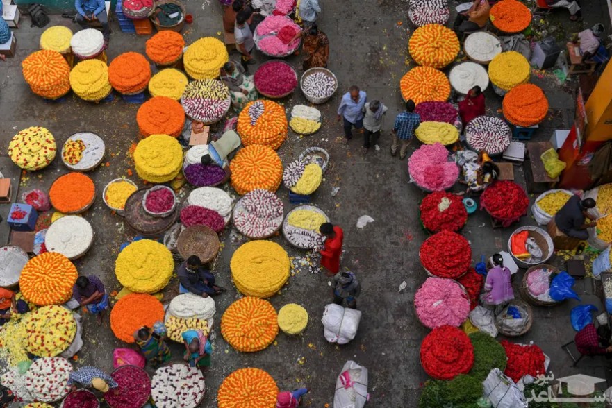 بازار گل در بنگلور هند/ خبرگزاری فرانسه