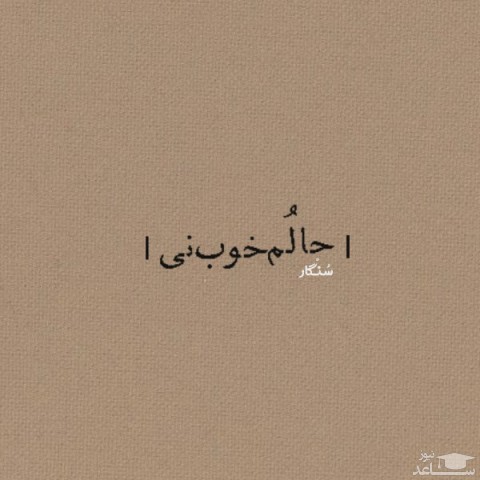 دانلود آهنگ حالوم خوب نی از سنگار