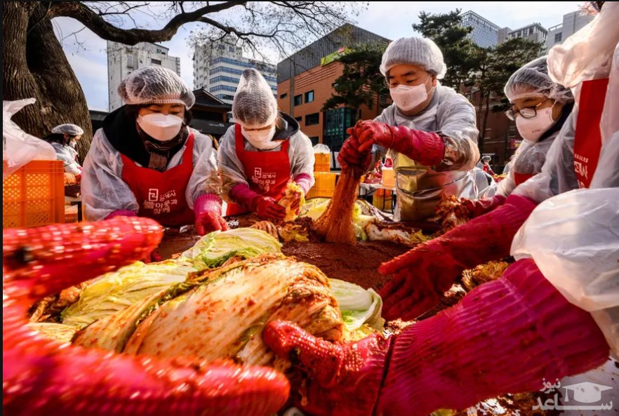 جشنواره درست کردن "کیمچی" (خوراک سنتی محبوب کره ای ها) در معبدی در شهر سئول کره جنوبی/ خبرگزاری فرانسه