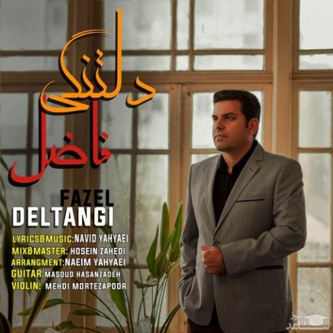 دانلود آهنگ دلتنگی از فاضل