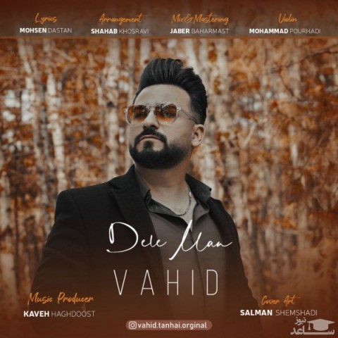 دانلود آهنگ دل من از وحید تنهایی