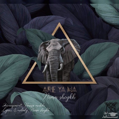 دانلود آهنگ آره یا نه از نیما شیخ