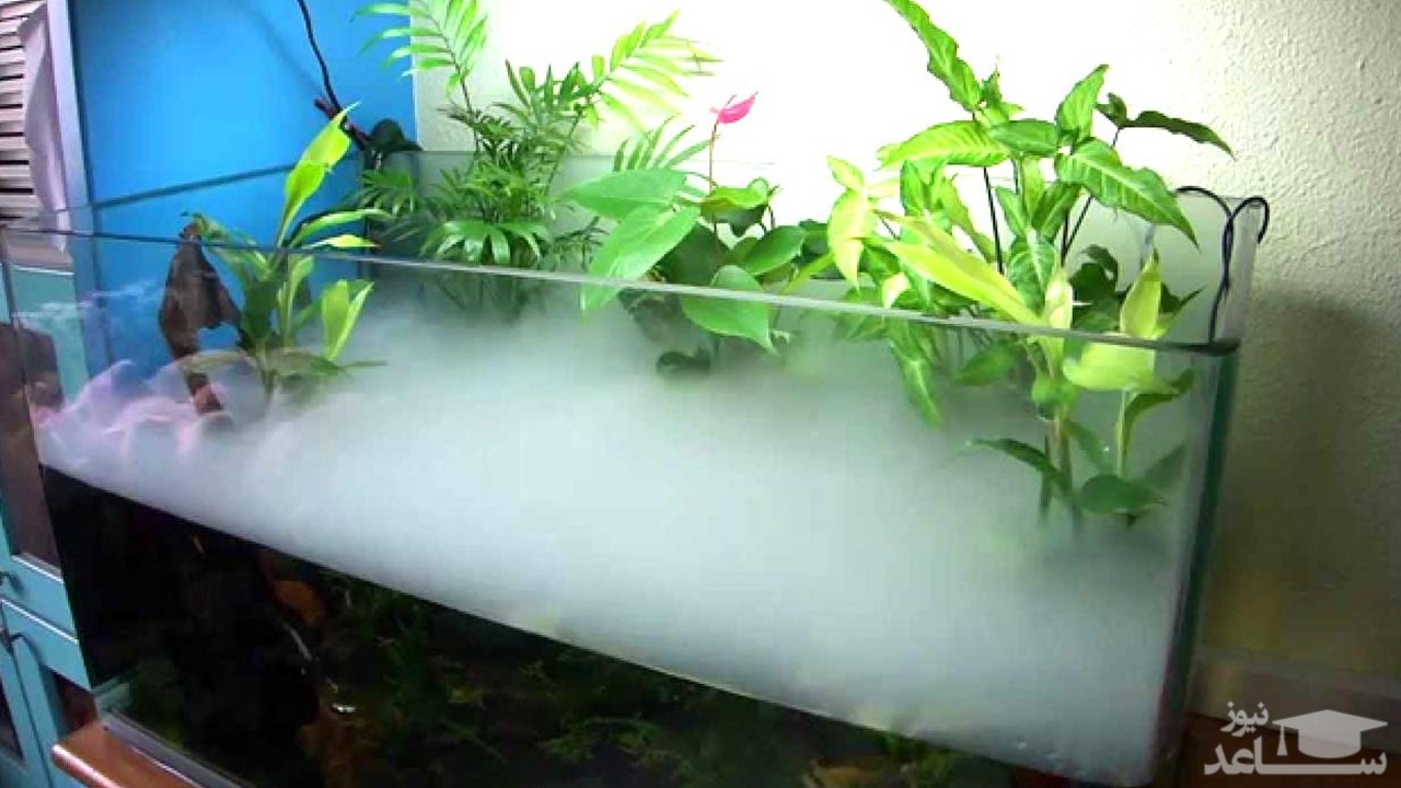 (فیلم) ساخت دستگاه مه ساز دستی