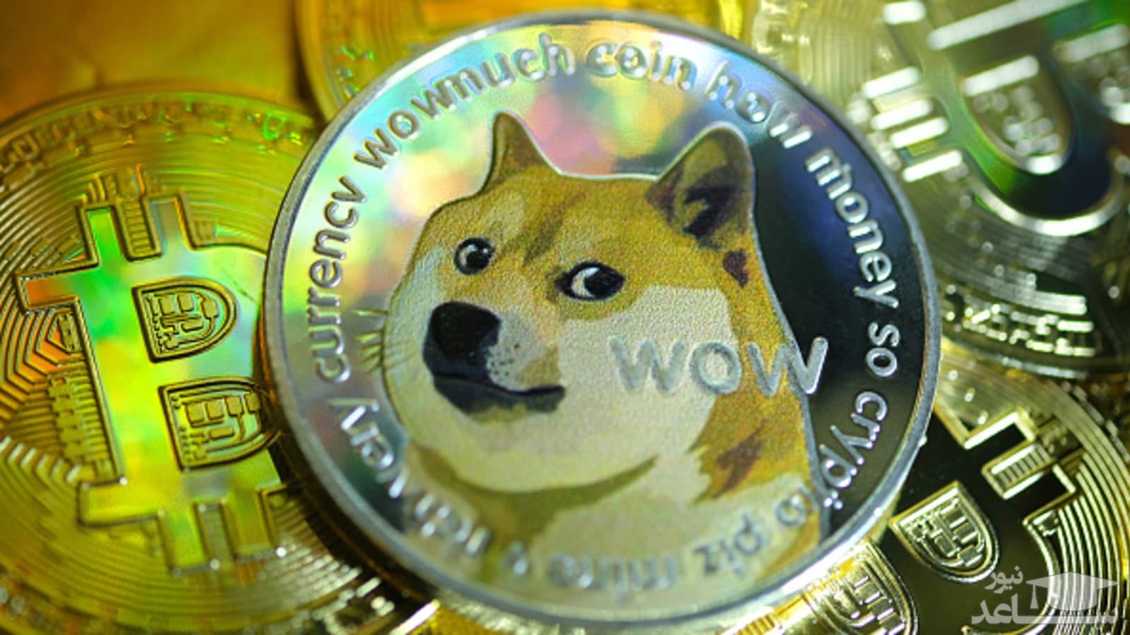 بهترین کیف پول‌ های ارز دیجیتال دوج کوین