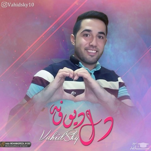 دانلود آهنگ دل دیوونه از وحید اسکای
