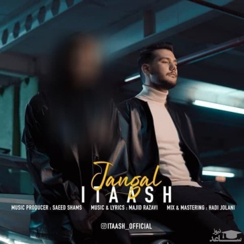 دانلود آهنگ جنگل از آیتاش