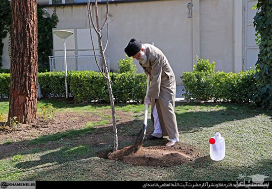 امروز؛ تصاویری از رهبر انقلاب در حال درختکاری