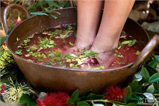 معرفی خوشبو کننده های طبیعی و گیاهی برای خانم های باردار