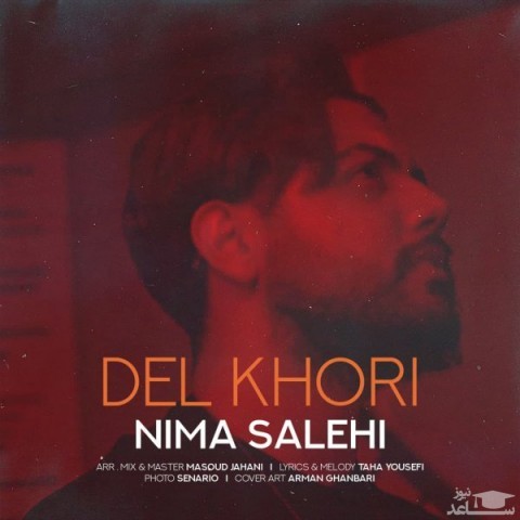 دانلود آهنگ دلخوری از نیما صالحی