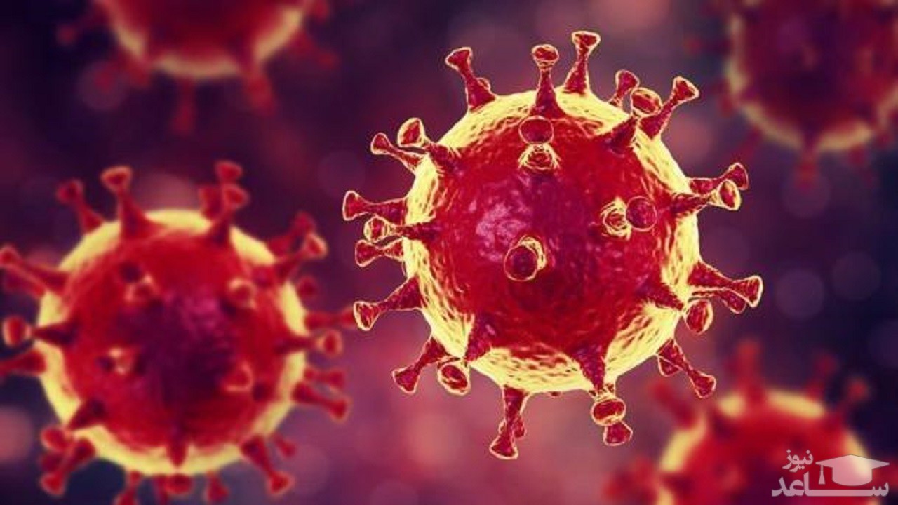 مصونیت در برابر کووید-۱۹ طولانی مدت نیست