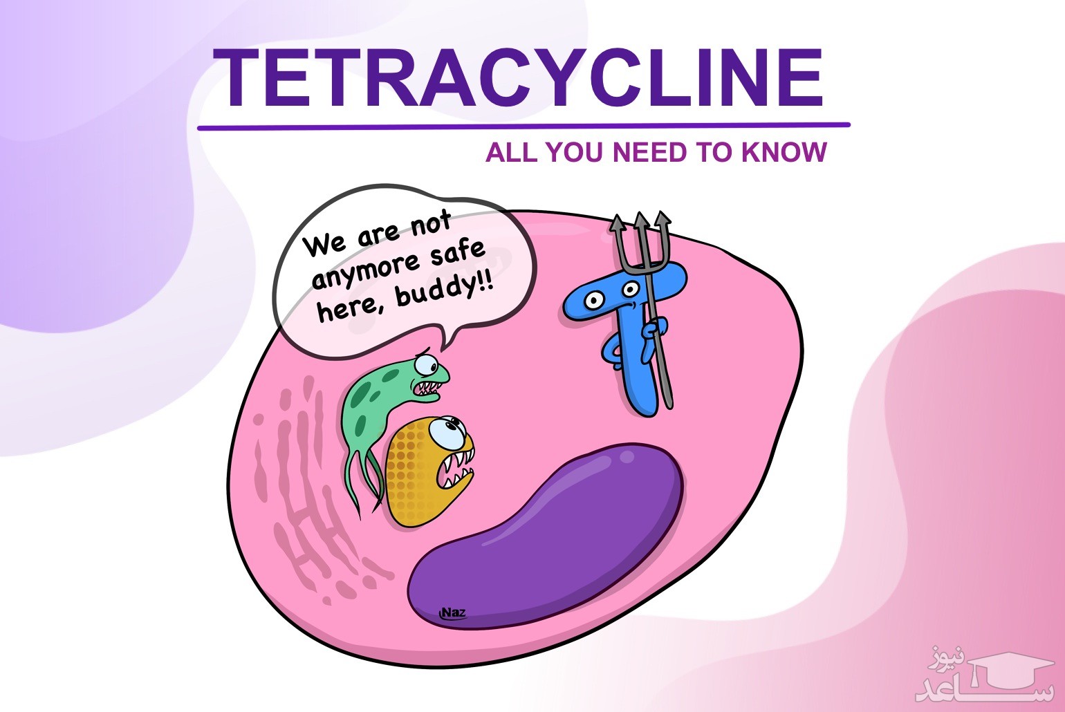 موارد منع مصرف و تداخل دارویی تتراسایکلین‌