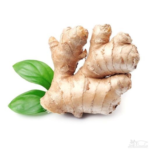 زنجبیل کیلویی ۱۲۰هزار تومان شد!