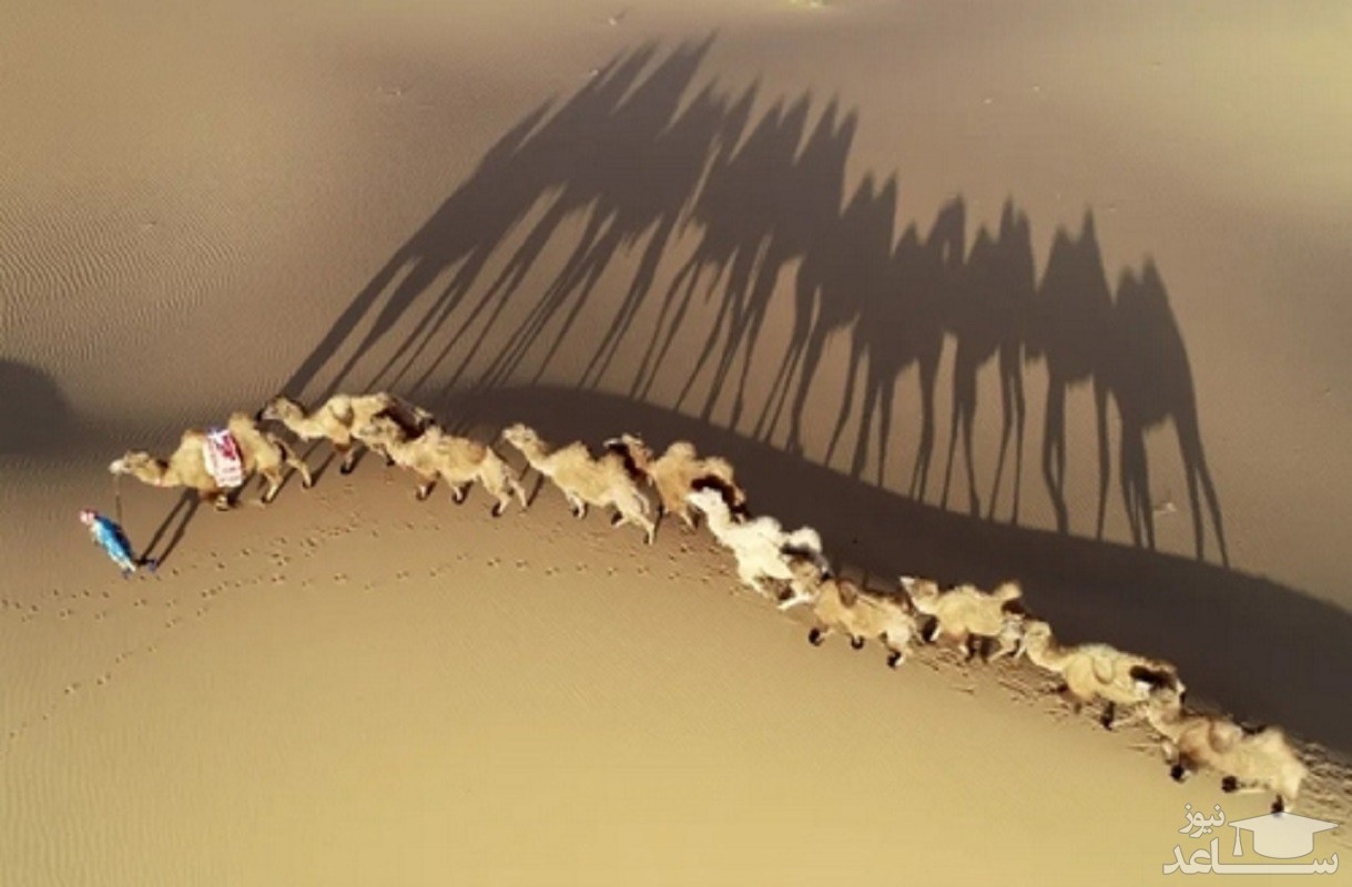 دیدنی های امروز یکشنبه 14 اردیبهشت 99