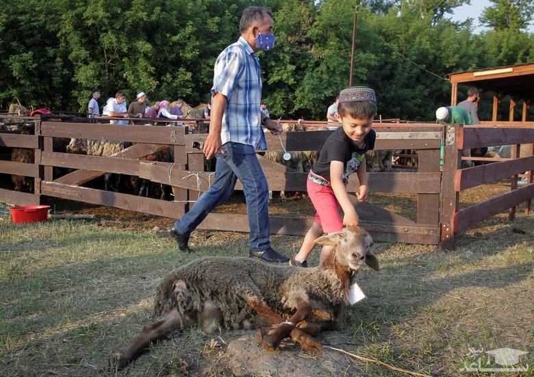 آیین های گرامیداشت عیدقربان در ممالک اسلامی