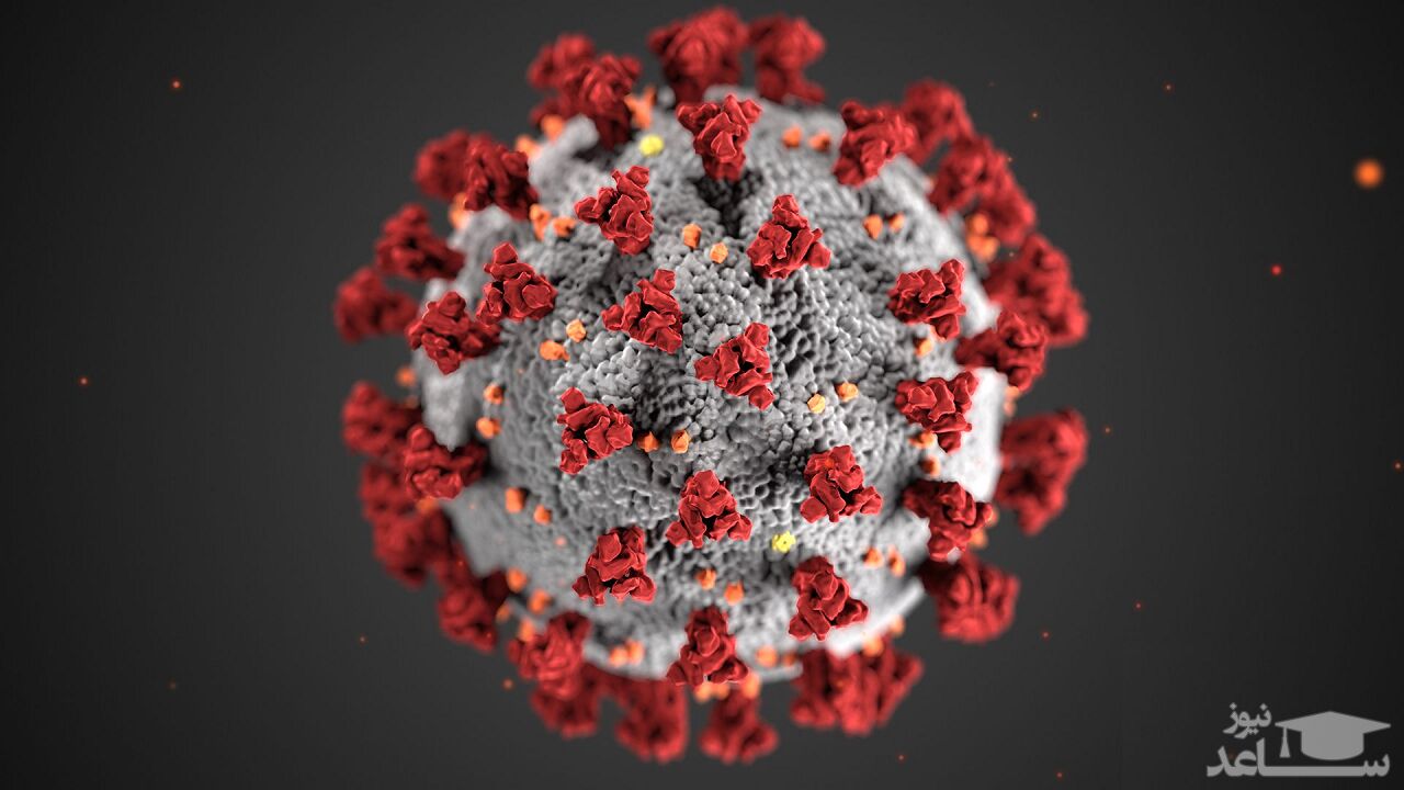 آمار جدید مبتلایان به کرونا در جهان در 3 خرداد