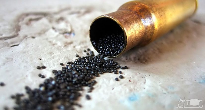 دیدن باروت در خواب چه تعبیری دارد؟ / تعبیر خواب باروت