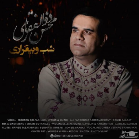 دانلود آهنگ شب و بیقراری از محسن ذوالفقاری