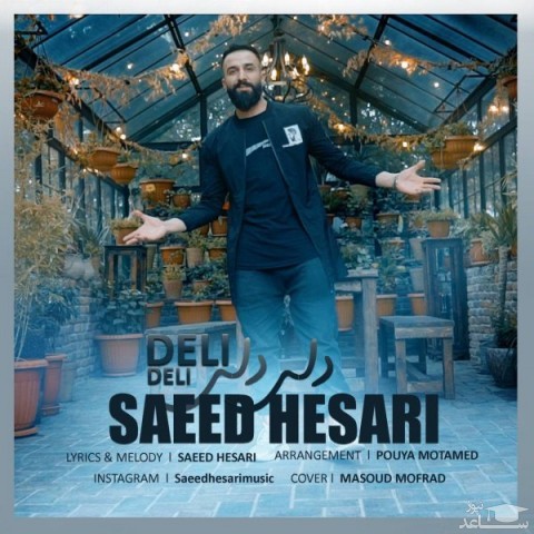دانلود آهنگ دلی دلی از سعید حصاری