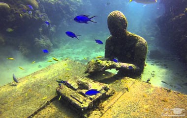 تصاویری از موزه های عجیب در زیر دریا