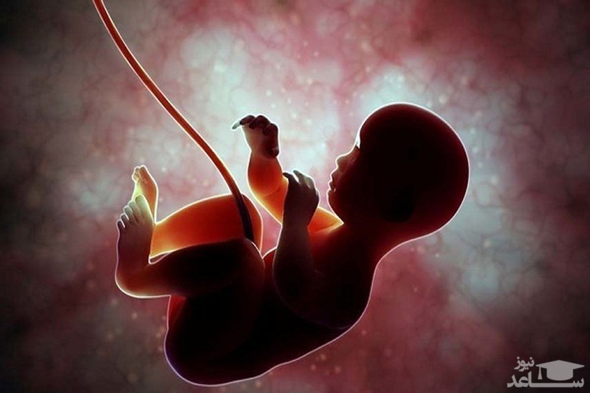 آمار عجیب درباره سقط جنین در ایران