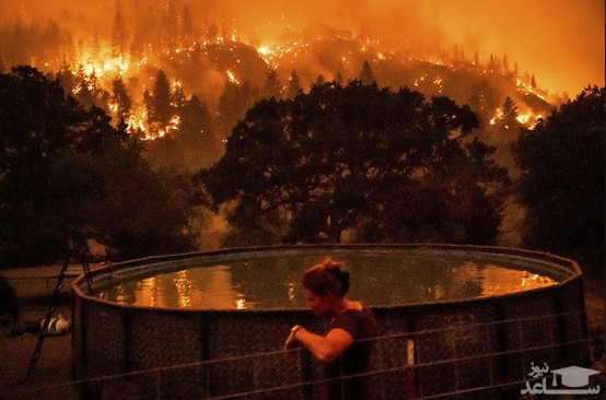 آتش سوزی جنگلی در ایالت کالیفرنیا آمریکا/ آسوشیتدپرس