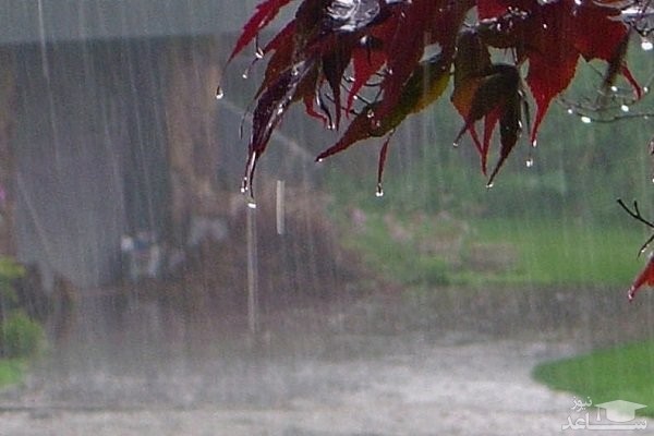 بیشتر مناطق کشور امروز بارانی است