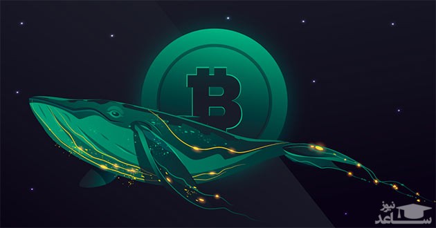 نهنگ کریپتو