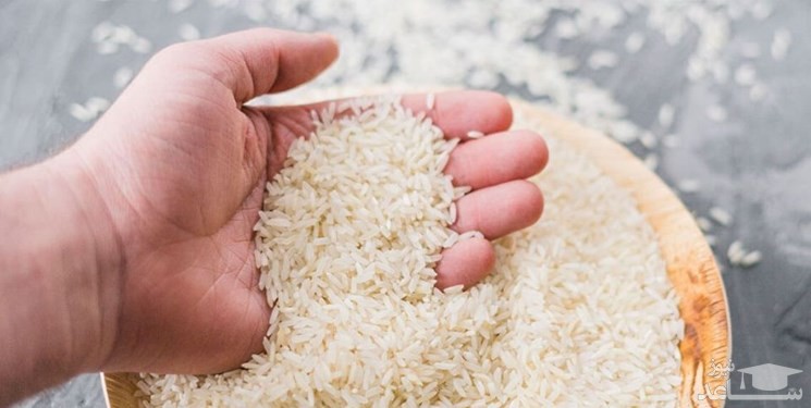 برنامه های کاهش التهاب قیمت برنج در بازار