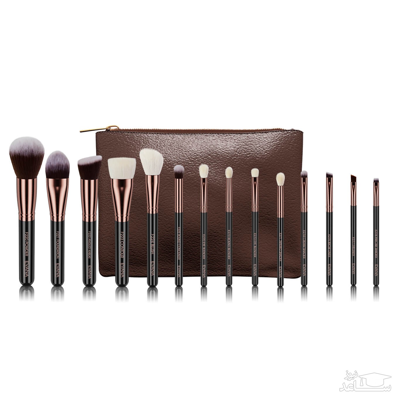 انواع برس آرایشی