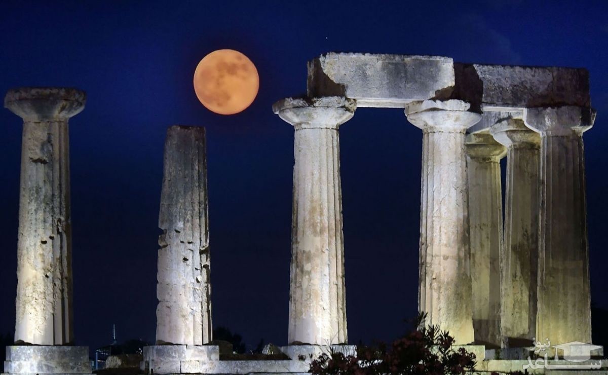 آموزش دفاع شخصی به دختران، مسابقات موتوجی پی و ...