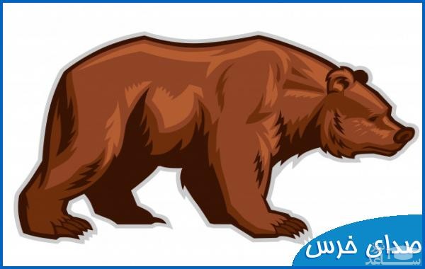 دانلود آهنگ خرس از افکت صوتی انسان و موجودات زنده