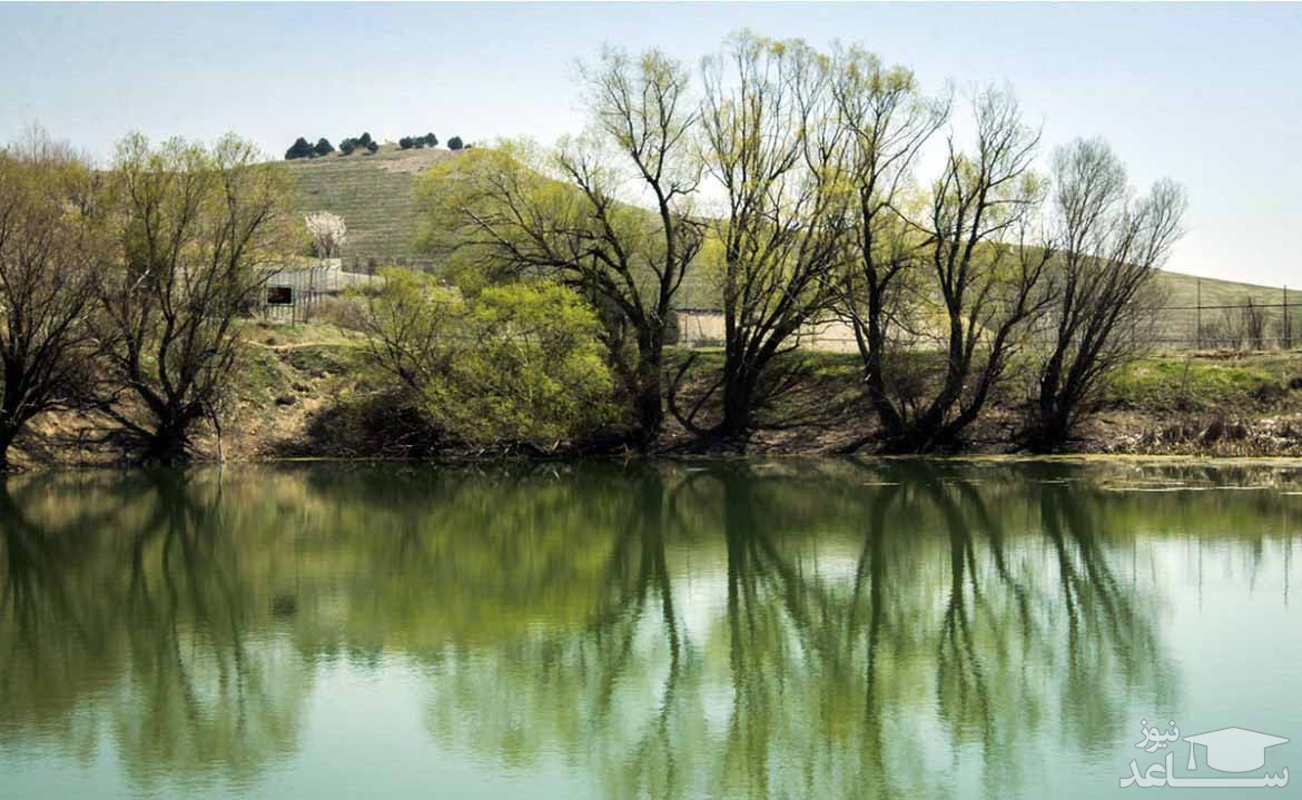  پارک جنگلی یاس فاطمی