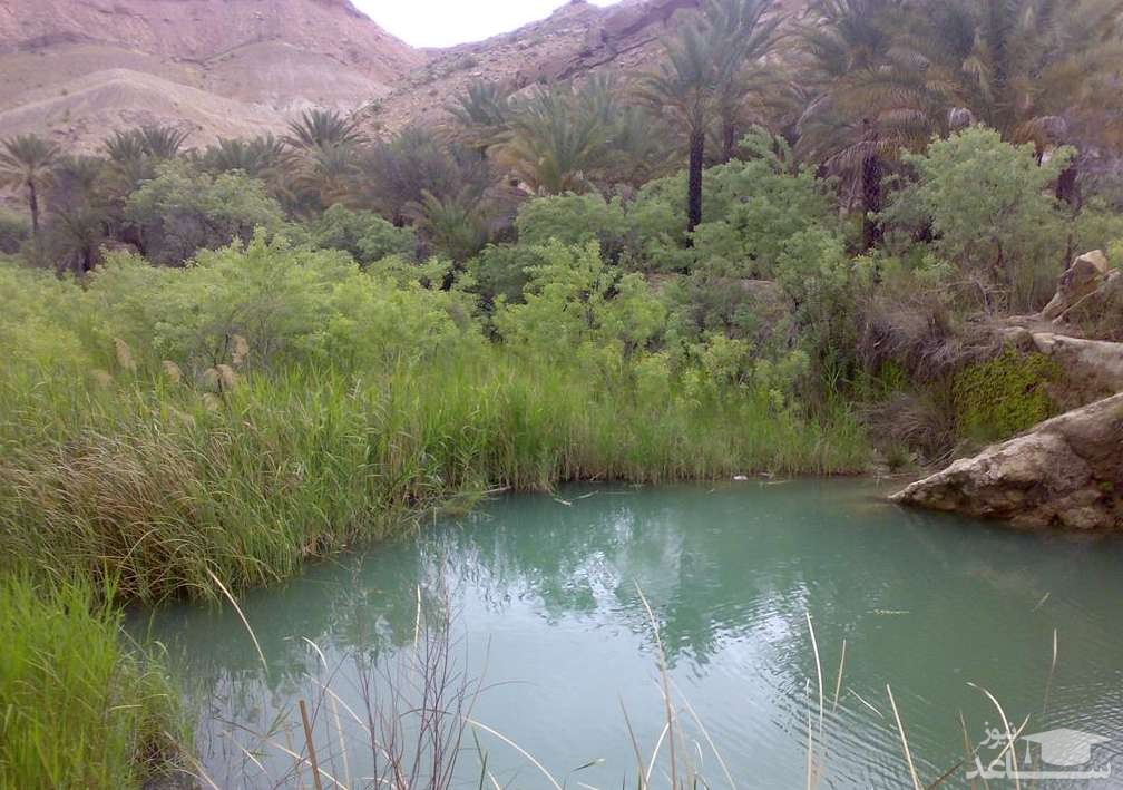 چشمه آب گرم سراب بهرام لامرد